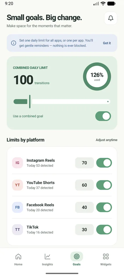 Goals screen with a daily limit